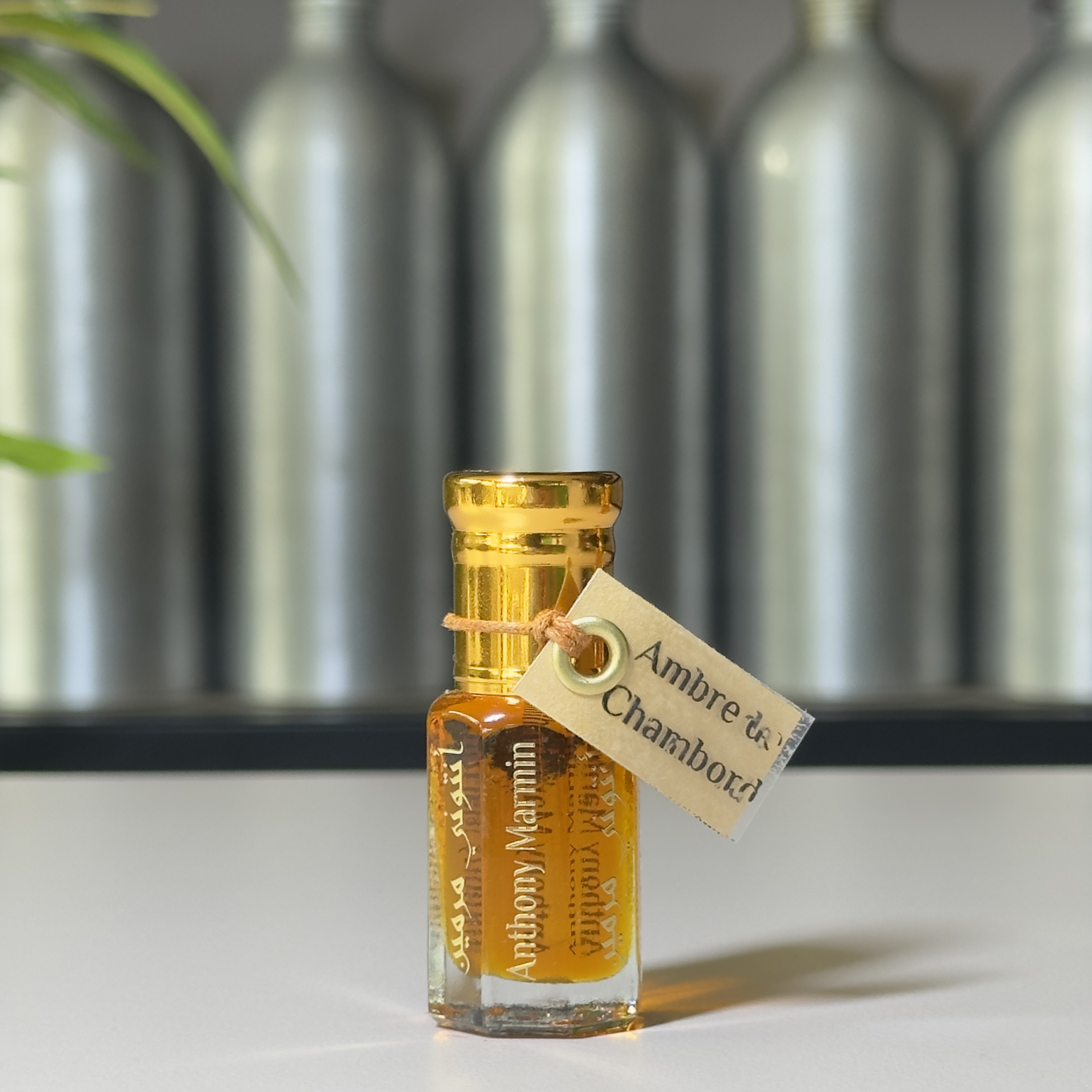 Ambre de Chambord