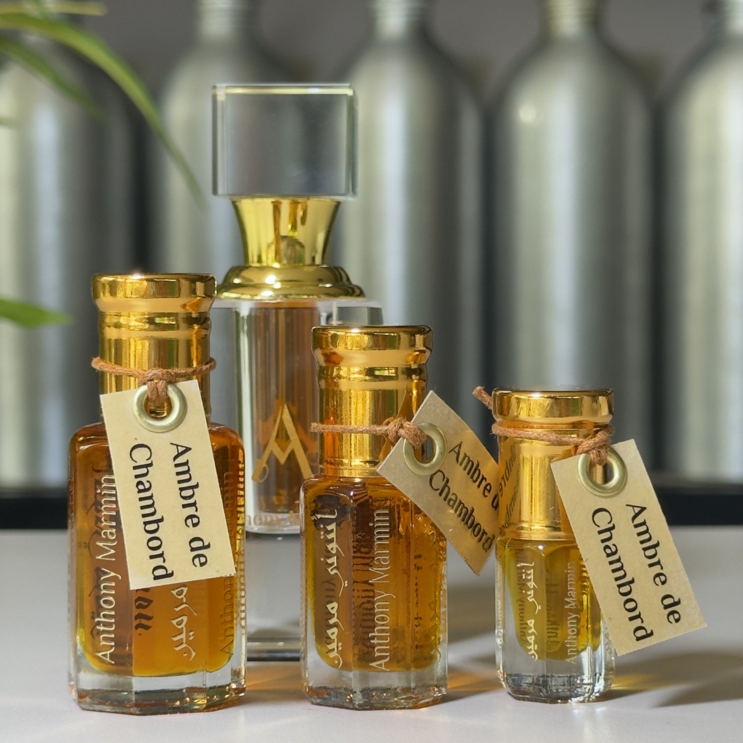 Ambre de Chambord