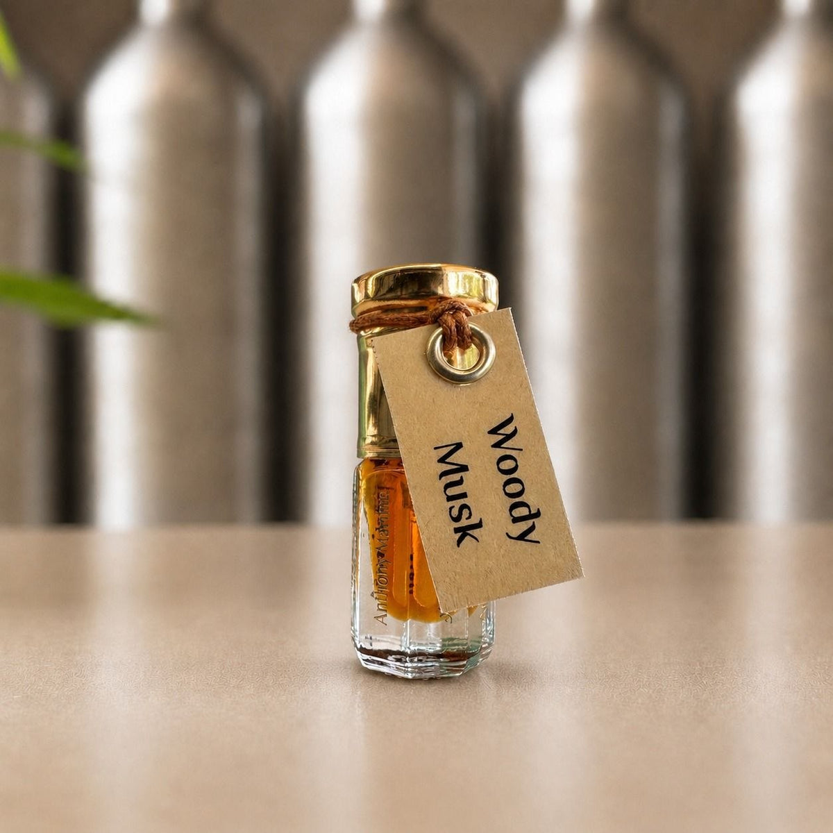 Woody Musk - Series 2: From Shadow to Light